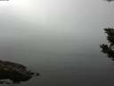 ./images/koeye/fitz-hugh/20190902/fitz-hugh20190902_115502.jpg