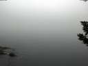 ./images/koeye/fitz-hugh/20190903/fitz-hugh20190903_063501.jpg