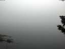 ./images/koeye/fitz-hugh/20190903/fitz-hugh20190903_064001.jpg