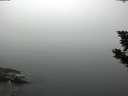 ./images/koeye/fitz-hugh/20190903/fitz-hugh20190903_065501.jpg