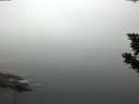 ./images/koeye/fitz-hugh/20190903/fitz-hugh20190903_070501.jpg