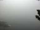 ./images/koeye/fitz-hugh/20190903/fitz-hugh20190903_074001.jpg