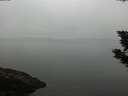 ./images/koeye/fitz-hugh/20190903/fitz-hugh20190903_102001.jpg