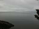 ./images/koeye/fitz-hugh/20190903/fitz-hugh20190903_103501.jpg