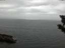 ./images/koeye/fitz-hugh/20190903/fitz-hugh20190903_201501.jpg