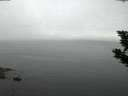 ./images/koeye/fitz-hugh/20190905/fitz-hugh20190905_061501.jpg