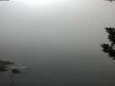 ./images/koeye/fitz-hugh/20190905/fitz-hugh20190905_074001.jpg