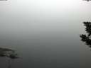 ./images/koeye/fitz-hugh/20190905/fitz-hugh20190905_074501.jpg