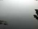 ./images/koeye/fitz-hugh/20190905/fitz-hugh20190905_075001.jpg
