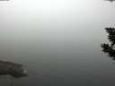 ./images/koeye/fitz-hugh/20190905/fitz-hugh20190905_092501.jpg
