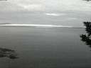 ./images/koeye/fitz-hugh/20190906/fitz-hugh20190906_061501.jpg