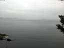 ./images/koeye/fitz-hugh/20190906/fitz-hugh20190906_070501.jpg