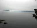 ./images/koeye/fitz-hugh/20190906/fitz-hugh20190906_072501.jpg