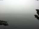 ./images/koeye/fitz-hugh/20190906/fitz-hugh20190906_094501.jpg
