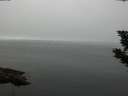 ./images/koeye/fitz-hugh/20190906/fitz-hugh20190906_102501.jpg