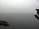 ./images/koeye/fitz-hugh/20190906/fitz-hugh20190906_105501.jpg