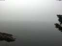 ./images/koeye/fitz-hugh/20190906/fitz-hugh20190906_110501.jpg