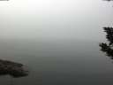 ./images/koeye/fitz-hugh/20190906/fitz-hugh20190906_111001.jpg