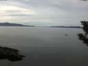 ./images/koeye/fitz-hugh/20190906/fitz-hugh20190906_134001.jpg