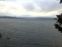 ./images/koeye/fitz-hugh/20190906/fitz-hugh20190906_195001.jpg