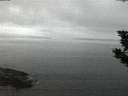 ./images/koeye/fitz-hugh/20190908/fitz-hugh20190908_062501.jpg