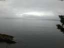 ./images/koeye/fitz-hugh/20190908/fitz-hugh20190908_064501.jpg