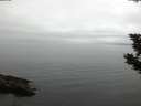 ./images/koeye/fitz-hugh/20190908/fitz-hugh20190908_065501.jpg