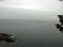 ./images/koeye/fitz-hugh/20190908/fitz-hugh20190908_073501.jpg