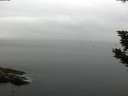 ./images/koeye/fitz-hugh/20190908/fitz-hugh20190908_075501.jpg