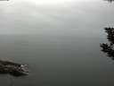 ./images/koeye/fitz-hugh/20190908/fitz-hugh20190908_080502.jpg