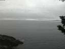 ./images/koeye/fitz-hugh/20190910/fitz-hugh20190910_062501.jpg