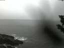 ./images/koeye/fitz-hugh/20190912/fitz-hugh20190912_063501.jpg