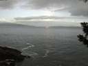 ./images/koeye/fitz-hugh/20190914/fitz-hugh20190914_063502.jpg
