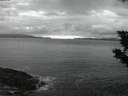 ./images/koeye/fitz-hugh/20190914/fitz-hugh20190914_202501.jpg