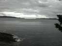 ./images/koeye/fitz-hugh/20190915/fitz-hugh20190915_063502.jpg