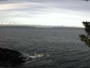 ./images/koeye/fitz-hugh/20190916/fitz-hugh20190916_103501.jpg