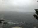 ./images/koeye/fitz-hugh/20190922/fitz-hugh20190922_070501.jpg