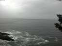 ./images/koeye/fitz-hugh/20190925/fitz-hugh20190925_154502.jpg