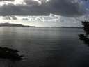 ./images/koeye/fitz-hugh/20190926/fitz-hugh20190926_154002.jpg