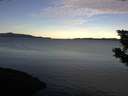 ./images/koeye/fitz-hugh/20190930/fitz-hugh20190930_085502.jpg