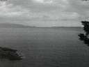 ./images/koeye/fitz-hugh/20191002/fitz-hugh20191002_194002.jpg