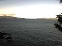 ./images/koeye/fitz-hugh/20191008/fitz-hugh20191008_085502.jpg