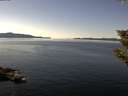 ./images/koeye/fitz-hugh/20191009/fitz-hugh20191009_132501.jpg