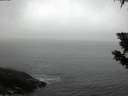 ./images/koeye/fitz-hugh/20191012/fitz-hugh20191012_075001.jpg