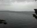 ./images/koeye/fitz-hugh/20191014/fitz-hugh20191014_162501.jpg