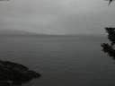 ./images/koeye/fitz-hugh/20191014/fitz-hugh20191014_190501.jpg