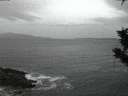 ./images/koeye/fitz-hugh/20191015/fitz-hugh20191015_072501.jpg