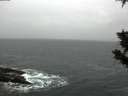 ./images/koeye/fitz-hugh/20191016/fitz-hugh20191016_103501.jpg