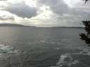 ./images/koeye/fitz-hugh/20191018/fitz-hugh20191018_161002.jpg