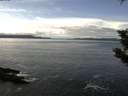 ./images/koeye/fitz-hugh/20191019/fitz-hugh20191019_125001.jpg